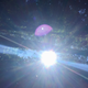 Sun in the forest. Abstract.